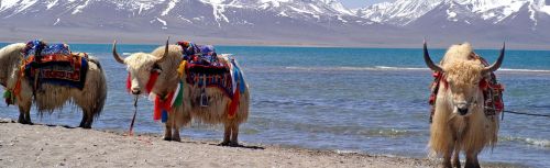 travel highlights tibet